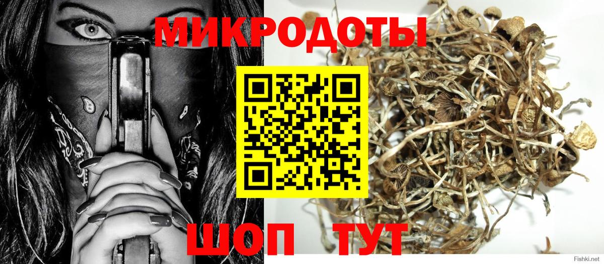 как найти закладки  Галлюциногенные грибы MAGIC MUSHROOMS  Вход с VPN  Галлюциногенные грибы мухоморы  Выборг 