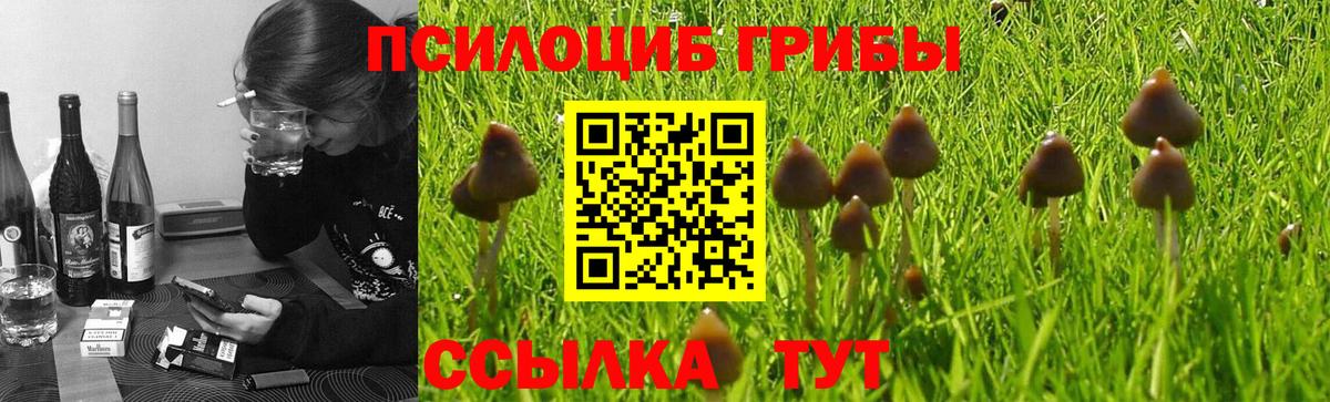 Галлюциногенные грибы MAGIC MUSHROOMS Выборг